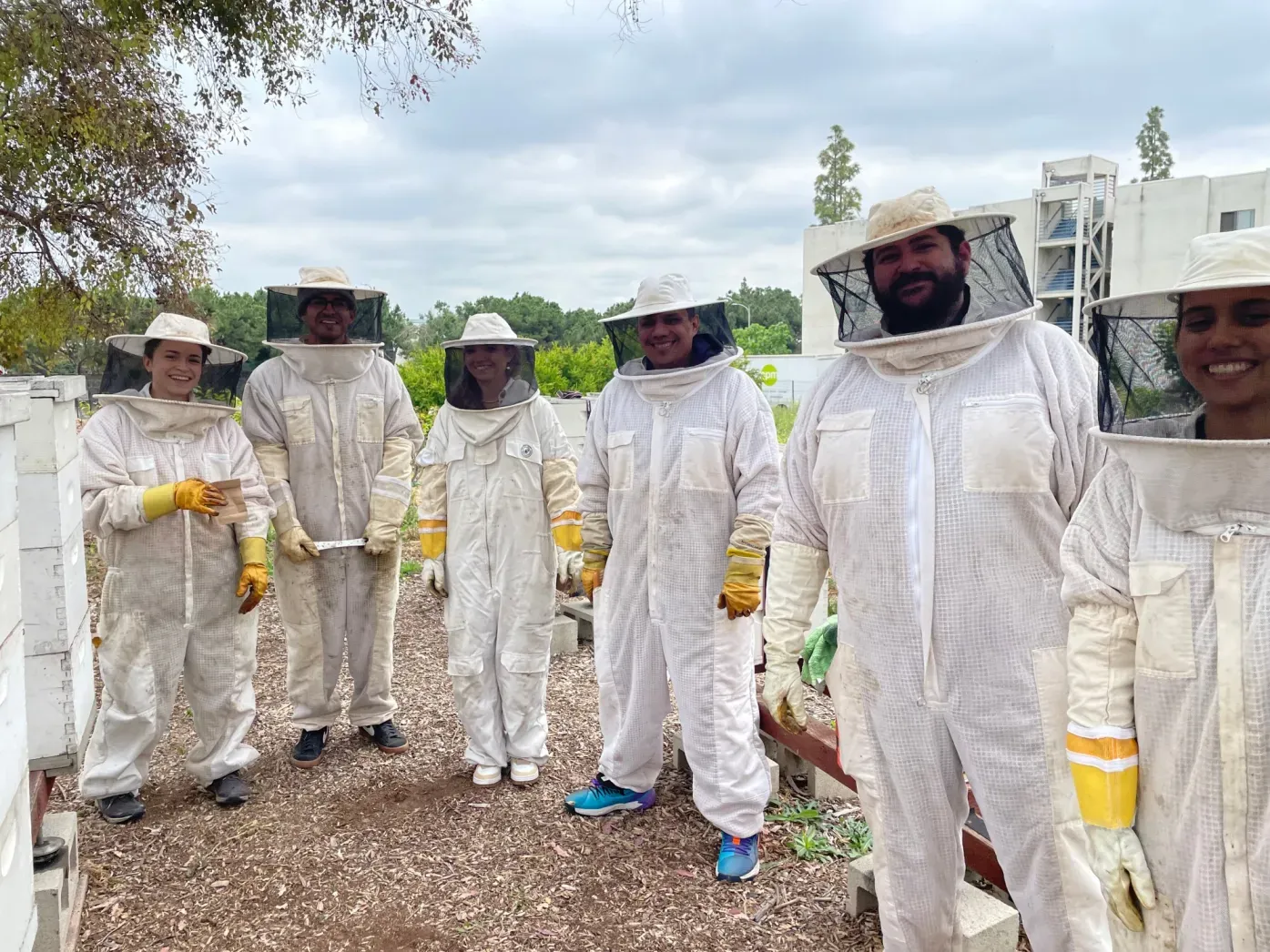 CSF-L-APIARY-0531-1_c9e76e.webp
