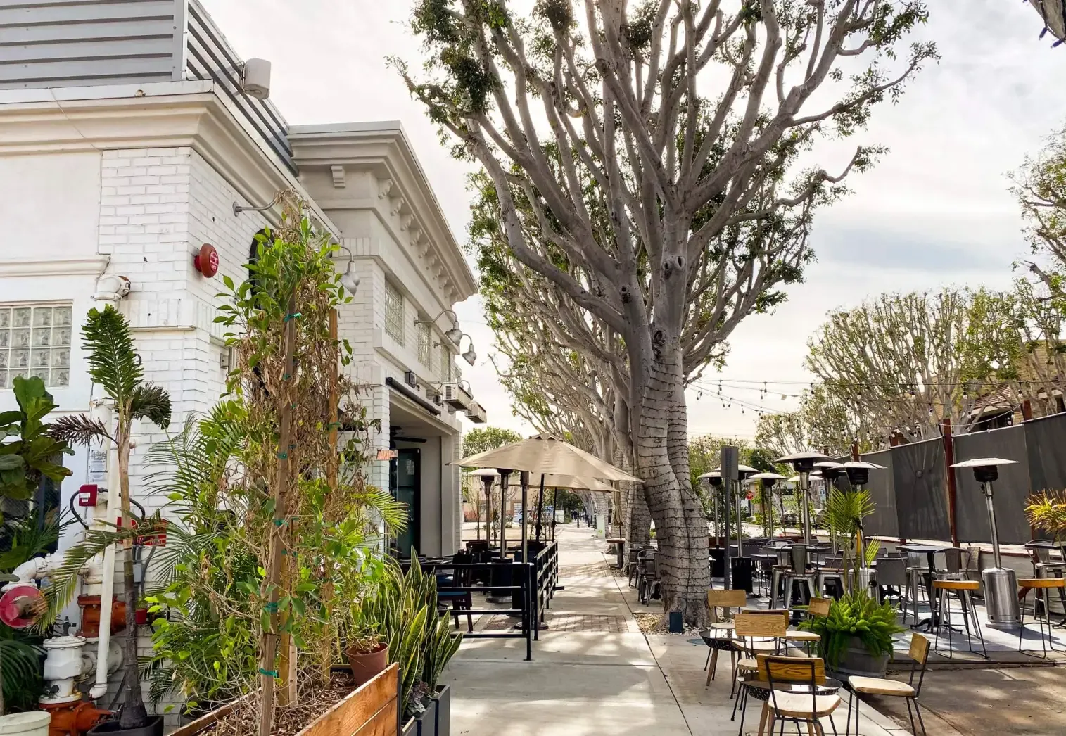 OCR-L-OLDTOWN-1130-03.webp